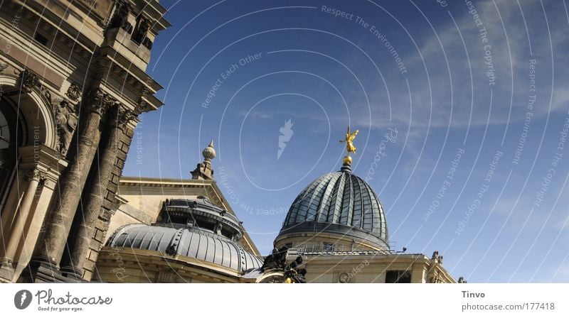 Dresden beflügelt Farbfoto Außenaufnahme Detailaufnahme Tag Hauptstadt Altstadt Kirche Architektur Sehenswürdigkeit alt historisch Reflexion & Spiegelung