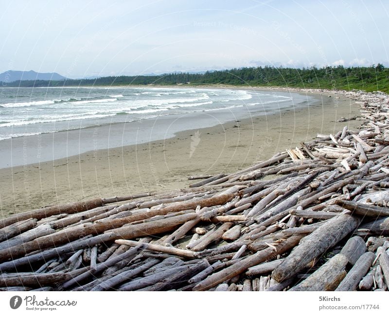 Long Beach Treibholz Vancouver Island Kanada Meer Strand Holz
