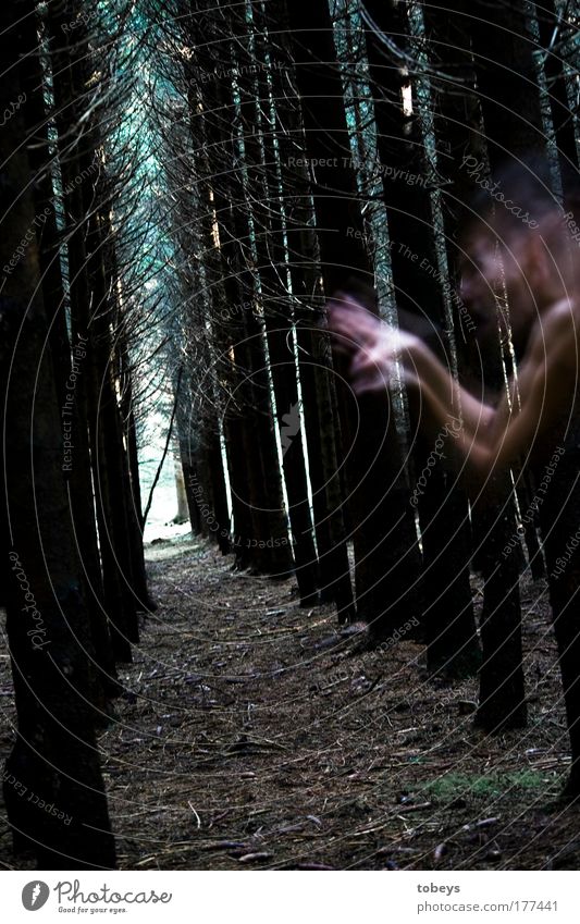 Panik Wald Urwald gruselig Überraschung träumen Tod Angst Todesangst gefährlich Verzweiflung Unglaube verstört Schüchternheit Ekel Feindseligkeit Rache