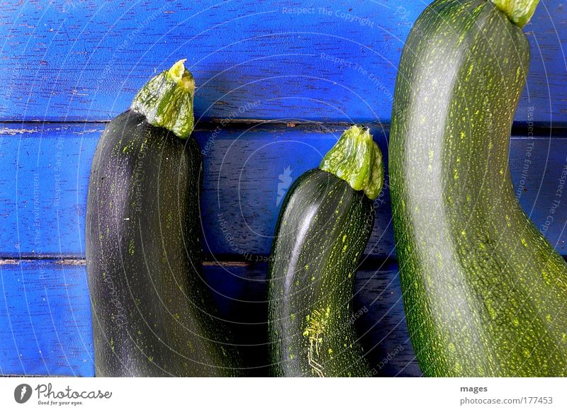 Zucchini Farbfoto mehrfarbig Außenaufnahme Nahaufnahme Menschenleer Vogelperspektive Lebensmittel Gemüse Ernährung Bioprodukte Vegetarische Ernährung Slowfood