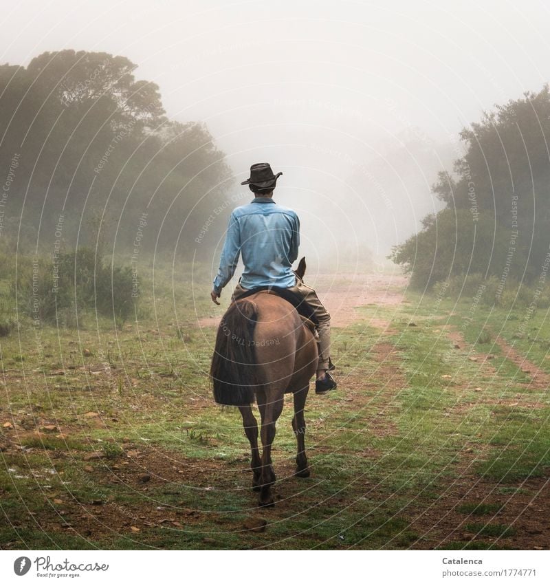 Aufbruch, ein einsamer Reiter mit Hut und blauem Hemd reitet vorbei Reiten maskulin Junger Mann Jugendliche 1 Mensch 18-30 Jahre Erwachsene Natur Landschaft