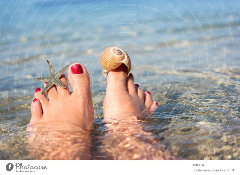 Sommer- Lifestyle Glück schön Pediküre Erholung Sonne Strand Meer Mensch Mädchen Frau Erwachsene Fuß Sand rot Wasser Hintergrund Top Aussicht Barfuß Resort