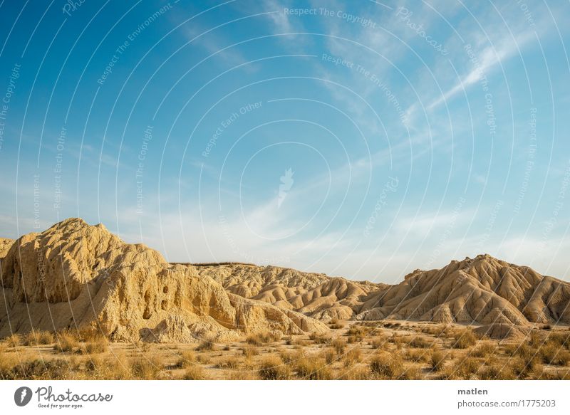 in the desert Umwelt Natur Landschaft Pflanze Sand Himmel Wolken Horizont Sonnenlicht Wetter Schönes Wetter Gras Hügel Felsen Wüste Menschenleer trist blau