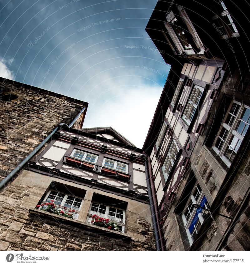 aufstrebend Farbfoto Außenaufnahme Menschenleer Textfreiraum oben Tag Licht Schatten Kontrast Froschperspektive Weitwinkel Tourismus Städtereise Eisenach