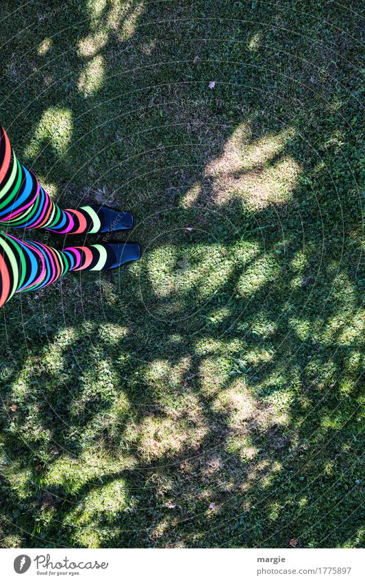 Jahresringe, Mädchen - Beine mit geringelten Strümpfen auf einer Wiese mit Baum - Schatten Mensch feminin Frau Erwachsene Fuß 1 Umwelt Natur Pflanze Grünpflanze