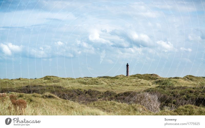 Turm in der Ferne Ferien & Urlaub & Reisen Tourismus Ausflug Sommer Sommerurlaub Natur Landschaft Himmel Wolken Schönes Wetter Pflanze Gras Sträucher Nordsee