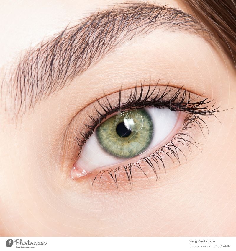 Nahaufnahmeschuß des weiblichen grünen Pistazienfarbaugen-Tagesmakes-up elegant Stil Haut Gesicht Kosmetik Wimperntusche Junge Frau Jugendliche Erwachsene Auge