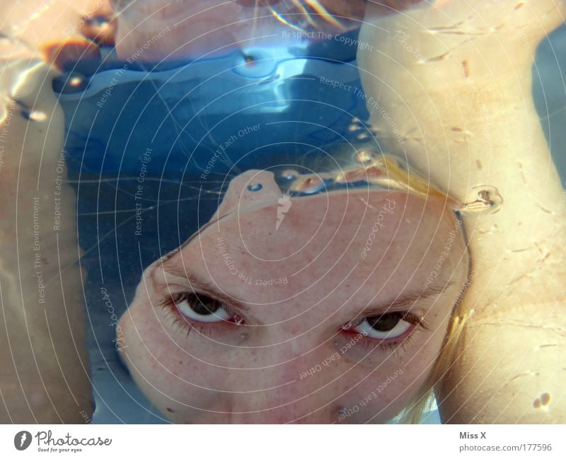 Tauchen Farbfoto mehrfarbig Nahaufnahme Detailaufnahme Unterwasseraufnahme Reflexion & Spiegelung Sonnenlicht Blick Blick in die Kamera Schwimmen & Baden