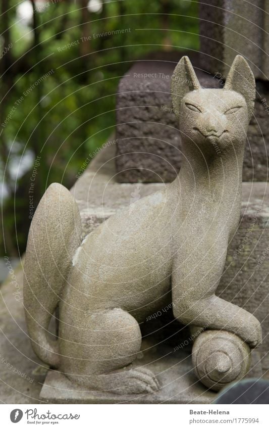 wo selbst die Katzen Schlitzaugen haben schön Kunst Kunstwerk Skulptur Sommer Park Stein Zeichen Lächeln sitzen Häusliches Leben positiv grau Gefühle Stimmung