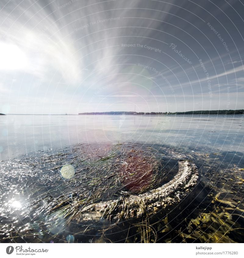 roundabout Umwelt Natur Landschaft Pflanze Tier Wasser Wolken Horizont Sommer Klima Ostsee Meer leuchten Sonnenlicht Beton Müll dreckig Rohrleitung Algen rund