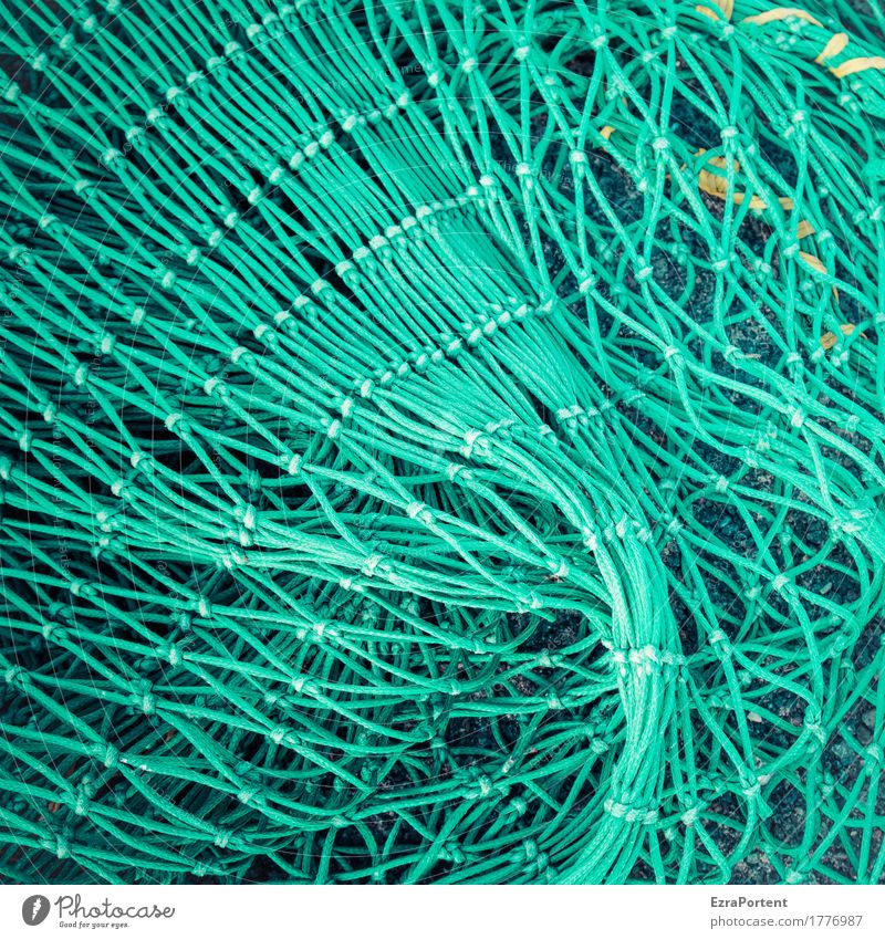 Netzwerk grün fangen Fangnetz Fangquote Fischernetz Fischereiwirtschaft Farbfoto Außenaufnahme abstrakt Muster Strukturen & Formen Menschenleer