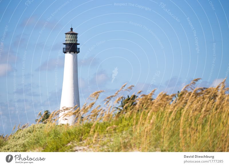 Lighthouse/Key Biscane Ferien & Urlaub & Reisen Sommerurlaub Strand Meer Insel Natur Landschaft Himmel Wolken Schönes Wetter Pflanze Küste Nordsee Ostsee