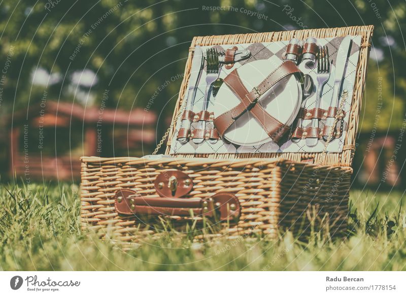 Geöffneter Picknick-Korb mit grünem Gras des Bestecks ??im Frühjahr Mittagessen Teller Messer Gabel Löffel Ferien & Urlaub & Reisen Sommer Garten Natur