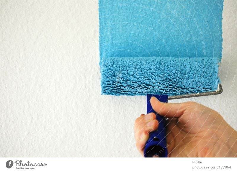 blau, blau, blau ... Farbfoto Innenaufnahme Textfreiraum links Häusliches Leben Wohnung Renovieren Umzug (Wohnungswechsel) einrichten Raum Beruf Handwerker