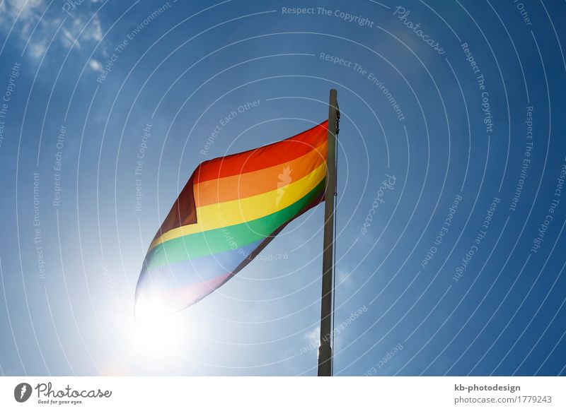 Rainbow flag on a flagpole in front of blue sky Lifestyle Homosexualität Wind Zeichen Fahne Liebe rainbow rainbow flag relationship freedom discrimination