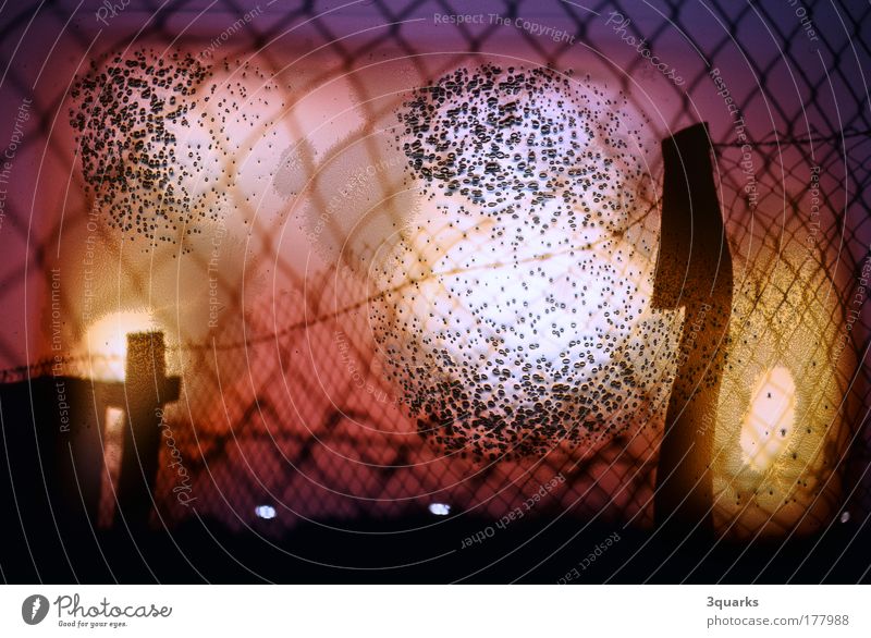 maschendraht Farbfoto Außenaufnahme Experiment Menschenleer Abend Lichterscheinung Sonnenaufgang Sonnenuntergang Gegenlicht Kunst Kunstwerk Umwelt Feuer