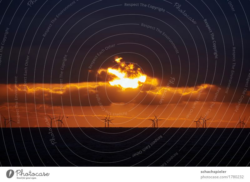 Sonnenuntergang über Offshore-Windpark Energiewirtschaft Erneuerbare Energie Windkraftanlage Natur Urelemente Wasser Himmel Wolken Sonnenaufgang Meer Nordsee
