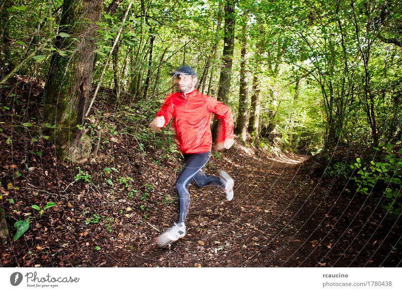 Hinterläufer, der im Wald auf einer Spur läuft Lifestyle Freude Sommer Sport Junge Mann Erwachsene Fuß Pflanze Baum Wege & Pfade Schuhe Bewegung rot schwarz