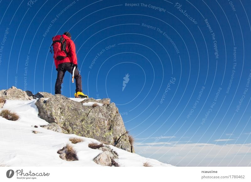 Trekker beobachtet den Horizont Abenteuer Expedition Winter Schnee Berge u. Gebirge Sport Mann Erwachsene Natur Landschaft Himmel Felsen Alpen Hose Jacke stehen