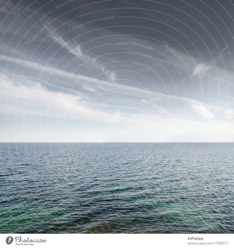 krähennest Umwelt Natur Wasser Himmel Wolken Horizont Wellen Küste Ostsee Meer Respekt Ferne Sehnsucht Reisefotografie Columbus Zukunft Dänemark Skandinavien