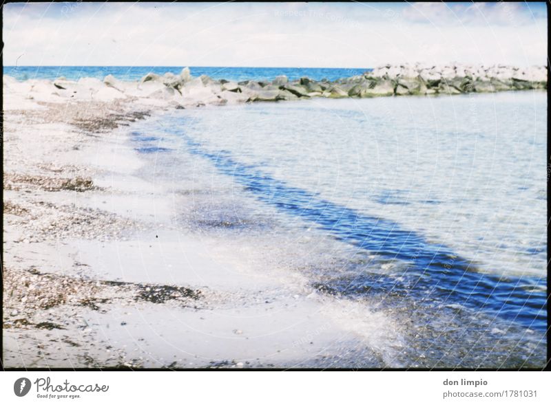 Kalifornien/Ostsee Umwelt Sommer Schönes Wetter Küste Bucht kalt Schutz Stimmung Umweltschutz Strand Buhne deutlich Wellenform analog Farbfoto Außenaufnahme