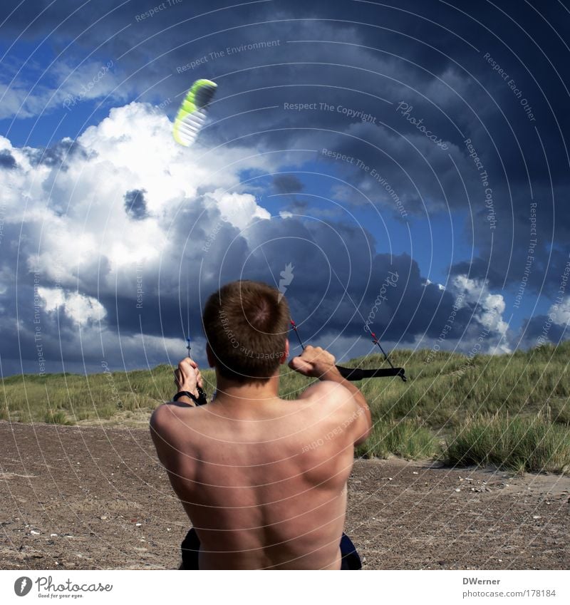 ... in den Seilen hängen Körper Leben Freizeit & Hobby Strand Meer Wassersport Sportler Segeln Kiting Mensch maskulin Junger Mann Jugendliche 1 18-30 Jahre