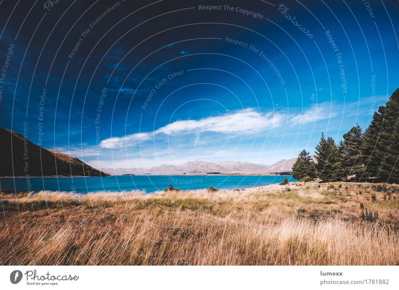 fernweh Natur Landschaft Wasser Himmel Wolken Sommer Schönes Wetter Gras Seeufer Lake Tekapo träumen blau braun Neuseeland Südinsel Fernweh