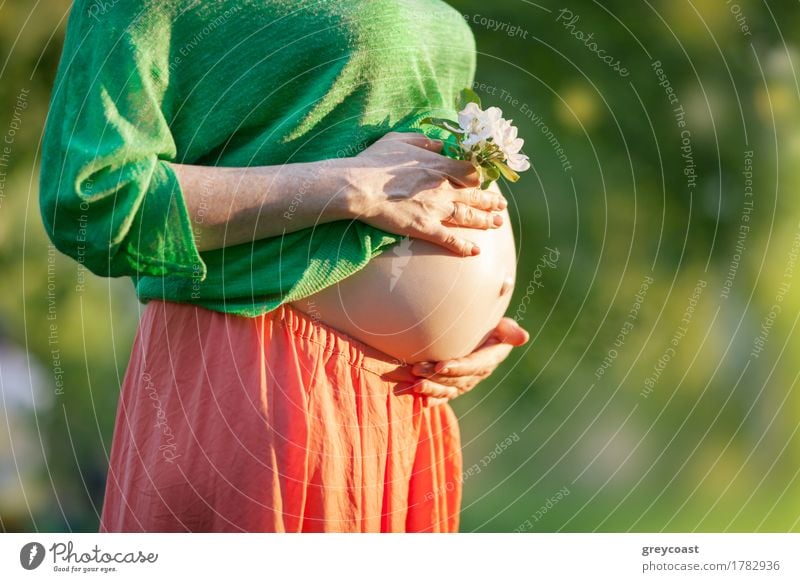 Nahaufnahme des nackten Bauches einer schwangeren Frau. Sie hält eine Blume in der Hand. Sommer Erwachsene 1 Mensch 18-30 Jahre Jugendliche Pflanze warten weiß