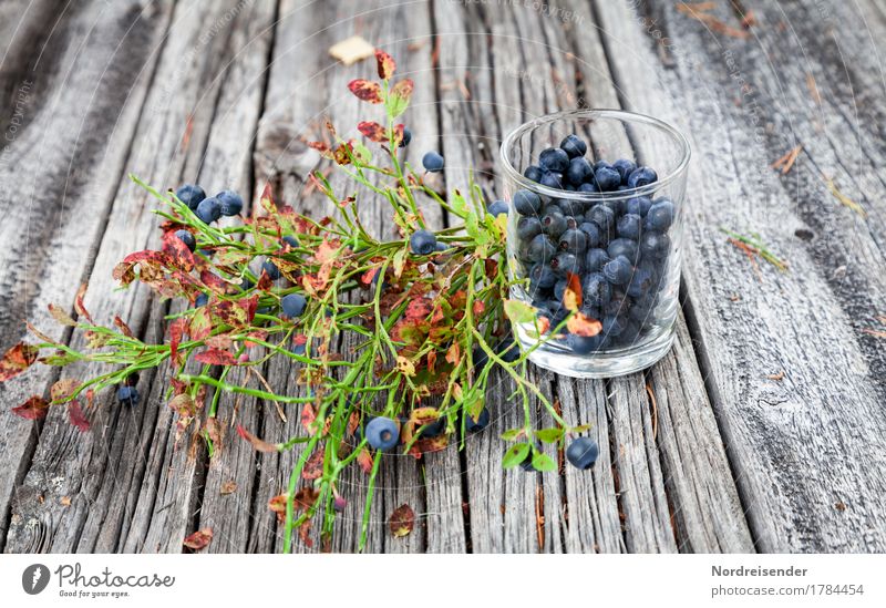 Blaubeeren Lebensmittel Frucht Ernährung Bioprodukte Vegetarische Ernährung Glas Freizeit & Hobby Ausflug Natur Sommer Herbst Wildpflanze Wald Holz