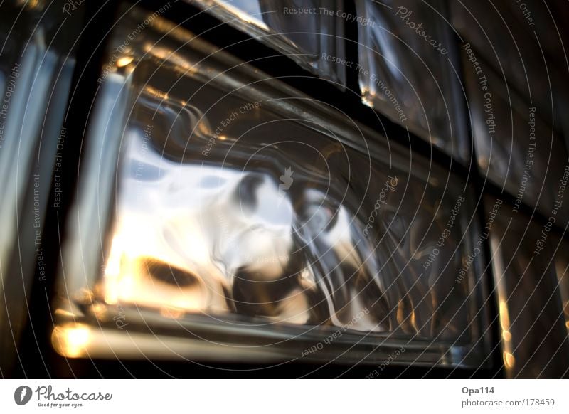 Glashaus Farbfoto Innenaufnahme Detailaufnahme abstrakt Strukturen & Formen Menschenleer Textfreiraum rechts Textfreiraum oben Abend Dämmerung Licht Kontrast