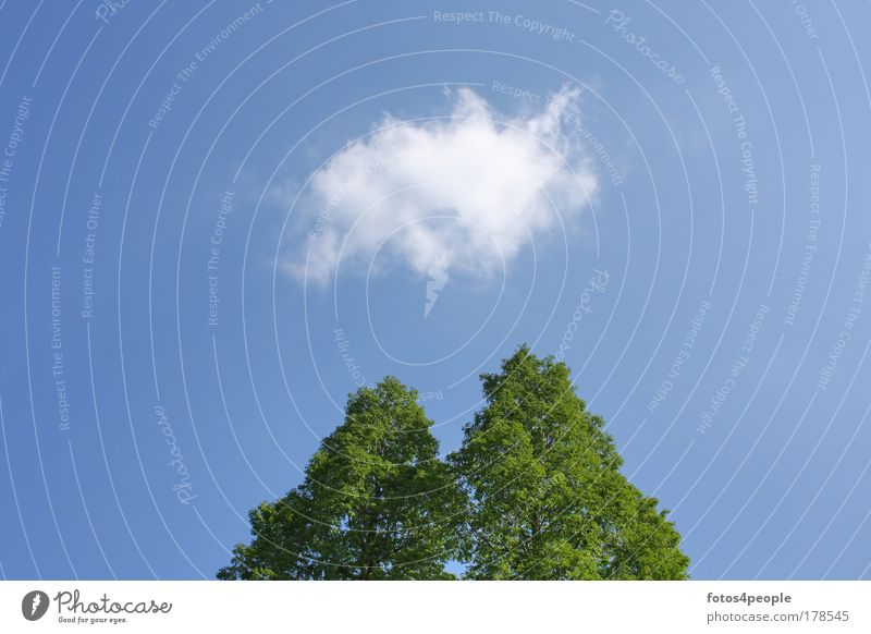 Idee Farbfoto Außenaufnahme Wirtschaft Erneuerbare Energie Luft Himmel Wolken Sommer Schönes Wetter Baum Zeichen Denken Erholung träumen blau weiß Lebensfreude