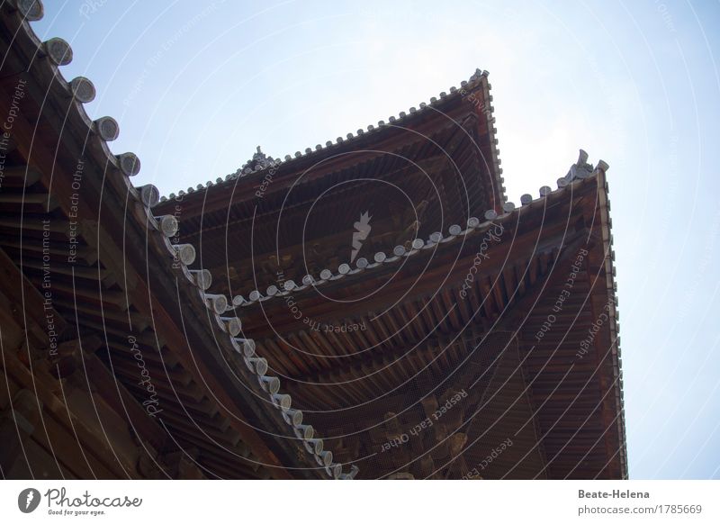 Tempeldächer Himmel Sommer Schönes Wetter Japan Bauwerk Architektur Dach Dachrinne Sehenswürdigkeit Holz ästhetisch eckig exotisch braun silber Stimmung Schutz