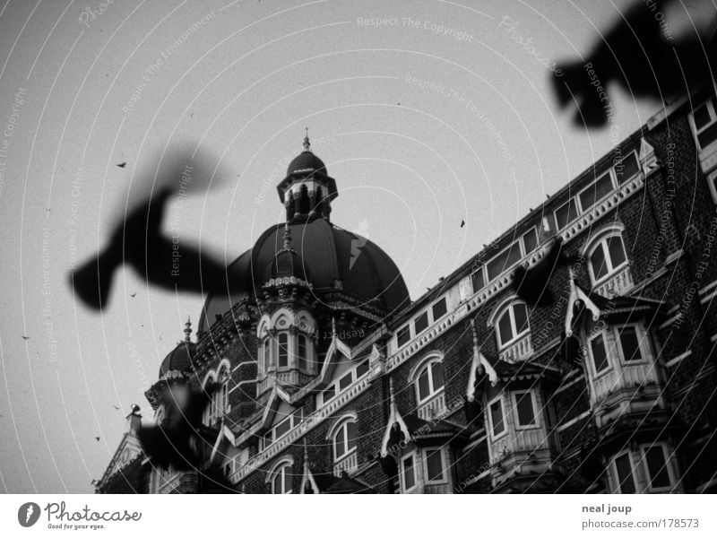 Das Taj Mahal Palace begrüßt den Tag Schwarzweißfoto Außenaufnahme Menschenleer Bewegungsunschärfe Bombay Indien Asien Hotel Fassade Sehenswürdigkeit Taube
