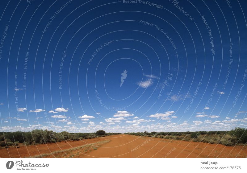 Next curve - 55km Farbfoto Außenaufnahme Menschenleer Ferien & Urlaub & Reisen Erde Himmel Horizont Buschland West Australien Sandpiste fahren frei Einsamkeit