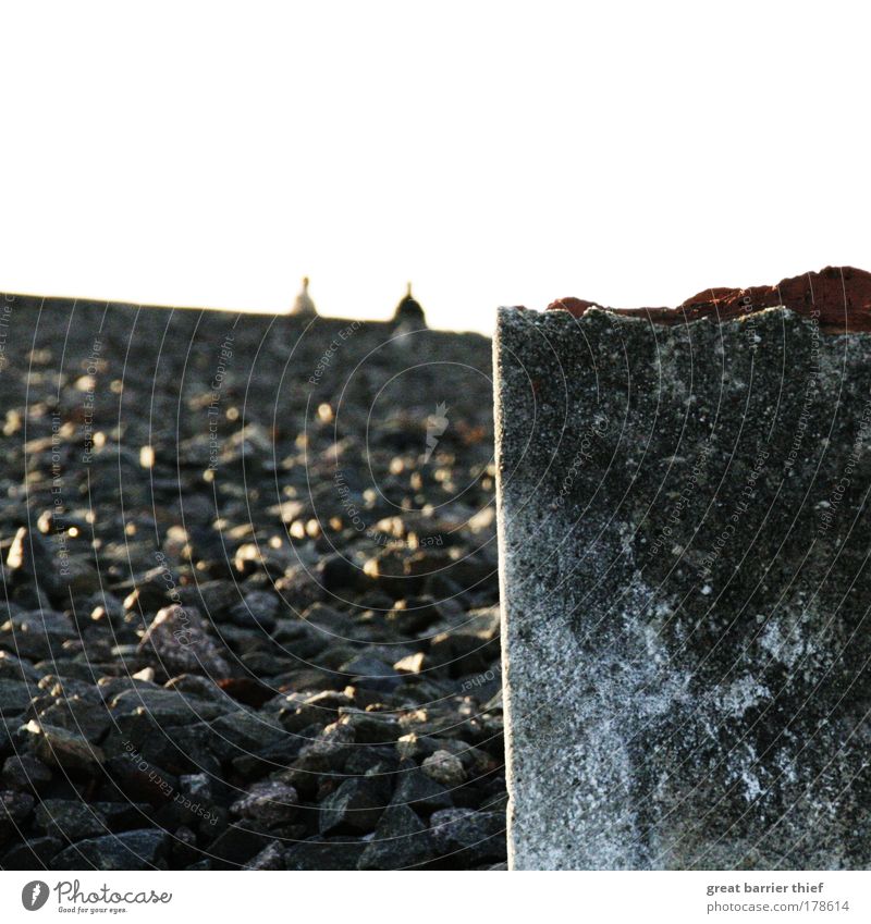 von stein zu stein Farbfoto Außenaufnahme Experiment Tag Abend Licht Kontrast Mensch maskulin 2 Stein Beton schuldig Zerstörung kaputt Buchenwald