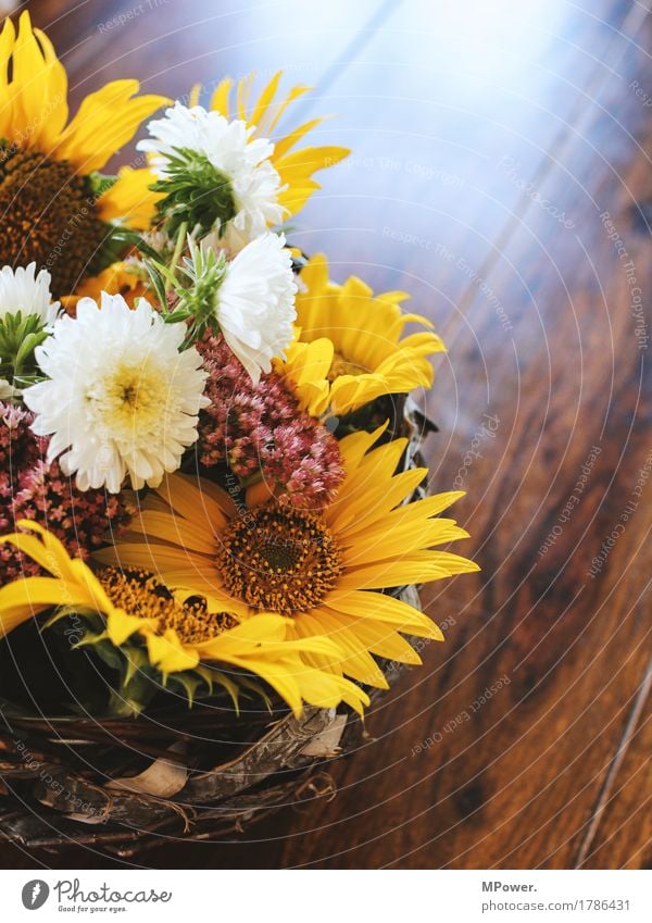 herbstdeko Herbst Herbstmarkt Dekoration & Verzierung Sonnenblume Blume Tisch Geschenk gelb mehrfarbig Blumenstrauß schön Duft