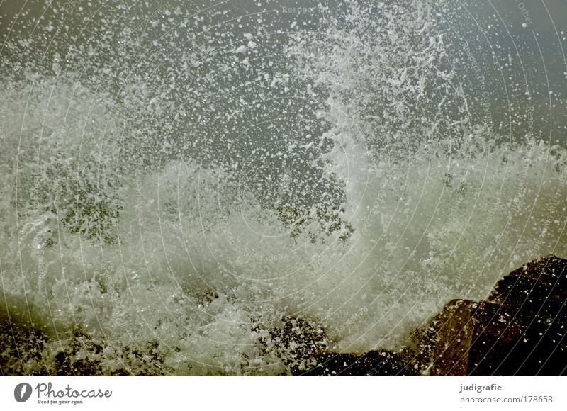 Gischt Farbfoto Außenaufnahme Tag Umwelt Natur Wasser Unwetter Sturm Wellen Küste Strand Ostsee Meer bedrohlich dunkel frisch wild Kraft kalt Vergänglichkeit