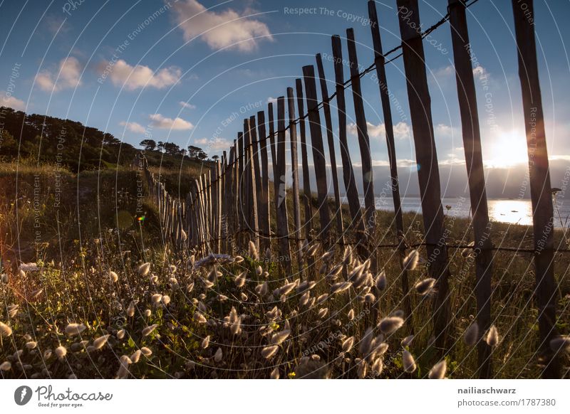 Sonnenuntergang am Strand in der Bretagne Meer Umwelt Natur Landschaft Himmel Sommer Pflanze Gras Sträucher Wildpflanze Küste Unendlichkeit natürlich Stimmung