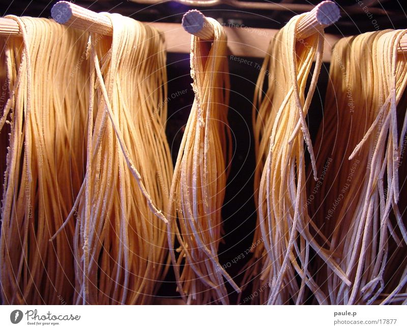 noodles II Nudeln Spaghetti Gesundheit ohne ei hartweizengries dinkelvollkornmehl farina di semola di grano duro nudeltrockner