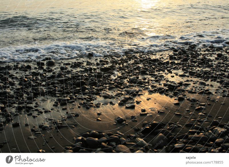 kiesel am strand Farbfoto Außenaufnahme Morgen Morgendämmerung Licht Reflexion & Spiegelung Sonnenlicht Umwelt Natur Urelemente Wasser Wellen Küste Strand Meer