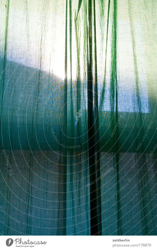 Morgens Fenster Gardine Häusliches Leben Wohnung Vorhang Wetterschutz Sommer dunkel verdunklung geheimnisvoll Fensterkreuz Textilien wohnraumtextilien
