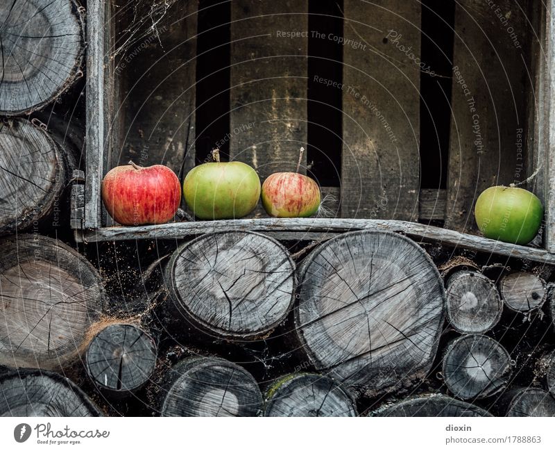 Herbst Lebensmittel Frucht Apfel Ernährung Bioprodukte Vegetarische Ernährung Holzkiste Brennholz Holzstapel Gesundheit lecker natürlich genießen Farbfoto