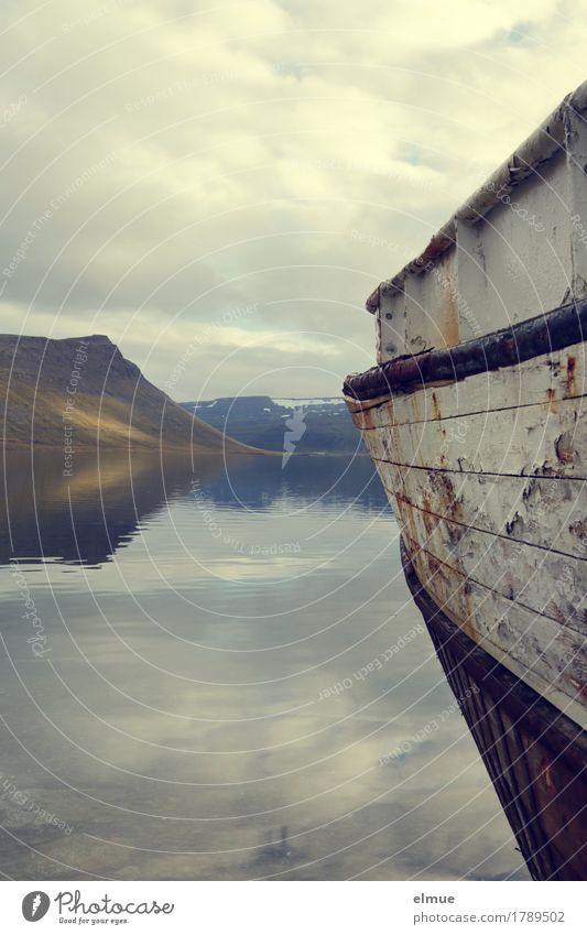 Stille Ferien & Urlaub & Reisen Ausflug Abenteuer Wasser Fjord Holz Äppelkahn Spiegelbild liegen historisch kaputt Romantik Gelassenheit ruhig Glaube Sehnsucht
