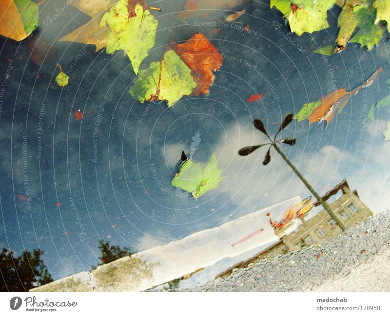 hereinspaziert herr herbst mehrfarbig abstrakt Muster Strukturen & Formen Reflexion & Spiegelung Ferne Umwelt Landschaft Wasser Wassertropfen Herbst Klima