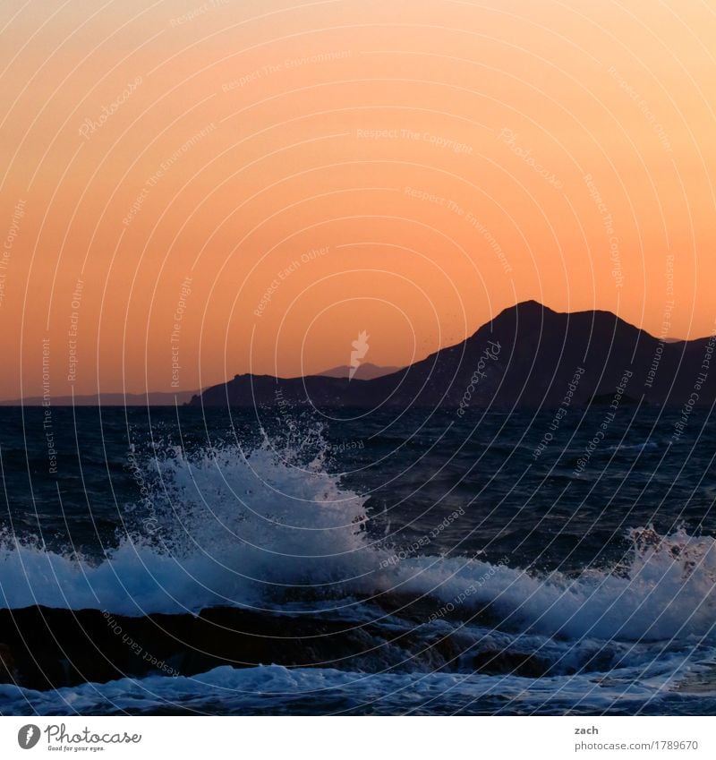 New Wave Natur Wasser Wolkenloser Himmel Sonnenaufgang Sonnenuntergang Schönes Wetter Felsen Wellen Küste Meer Mittelmeer Ägäis Insel Kykladen Milos