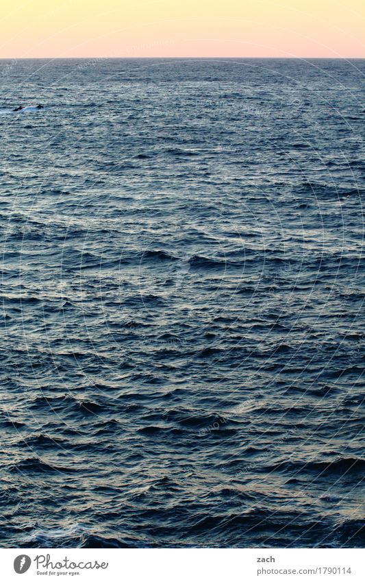 monoton | bis zum Horizont Wasser Himmel Sonnenaufgang Sonnenuntergang Schönes Wetter Wellen Küste Meer Schifffahrt Bootsfahrt Schwimmen & Baden Unendlichkeit