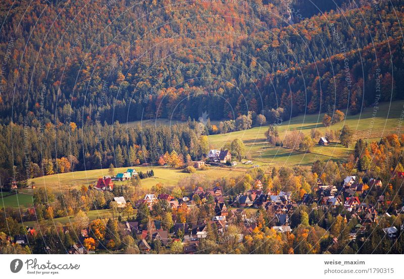 Sonniger Oktober-Tag in Malopolska-Bergdorf Ferien & Urlaub & Reisen Tourismus Berge u. Gebirge Haus Natur Landschaft Pflanze Herbst Klima Schönes Wetter Baum