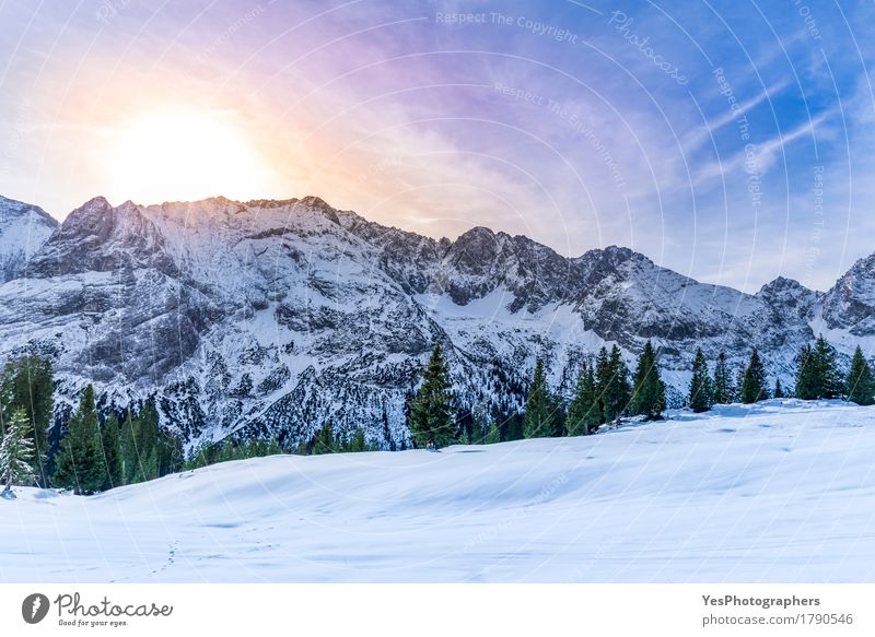 Schneebedeckte Berggipfel Freude Ferien & Urlaub & Reisen Winter Winterurlaub Berge u. Gebirge Silvester u. Neujahr Landschaft Wetter Eis Frost Baum Alpen