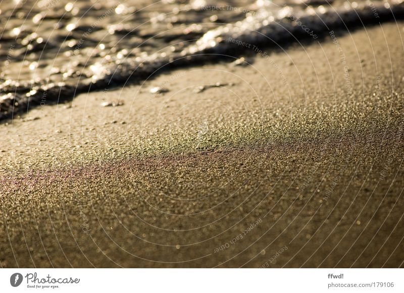 Sand & Strand Farbfoto Außenaufnahme Morgen Tag Licht Schwache Tiefenschärfe Froschperspektive Erholung ruhig Ferien & Urlaub & Reisen Freiheit Meer Wellen