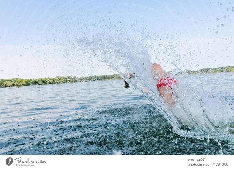 Große Welle Sport Sportler Sportveranstaltung Triathlon Schwimmen & Baden See Mensch maskulin Junger Mann Jugendliche 1 18-30 Jahre Erwachsene rennen laufen